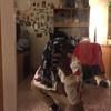 jasonk4